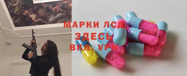 крисы Богородицк