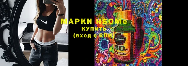 крисы Богородицк