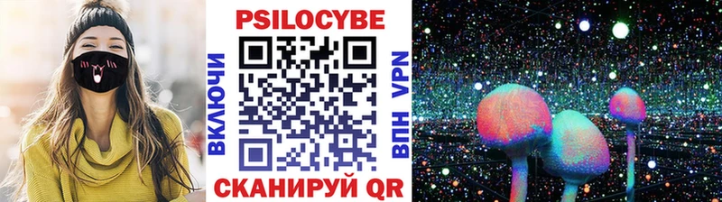Галлюциногенные грибы Psilocybe  купить закладку  МЕГА вход  Волгореченск 