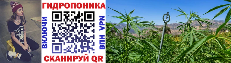 Конопля SATIVA & INDICA  blacksprut маркетплейс  Волгореченск 